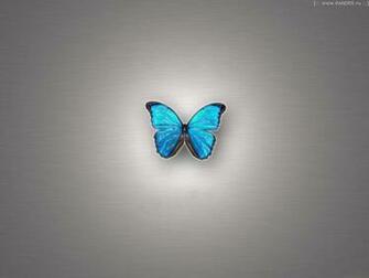 3d Butterfly Wallpaper