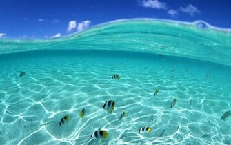Beach Computer Wallpaper Beautiful For