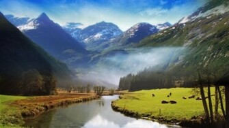 Wallpaper Nice Beautiful