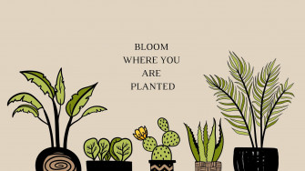 Discover Minimalist Plant Wallpaper