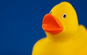 My Rubber Ducky Wallpaper