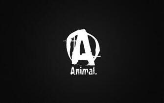 Animal Pak Wallpaper