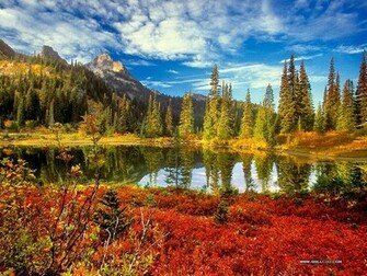 Autumn Scene