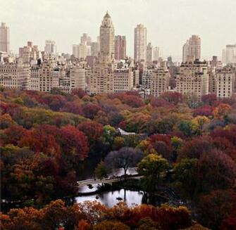 Fall In New York City