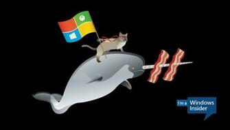 Celebrates Windows By Asking Users To Create Ninja Cat Wallpaper