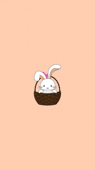 Bunny Aesthetic Wallpaper