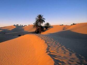Sahara Desert