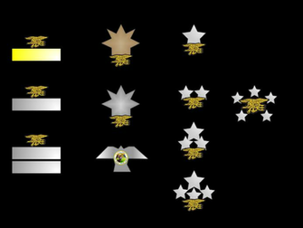 Navy Seal Trident Wallpaper HD Us Seals Collar Ranks By