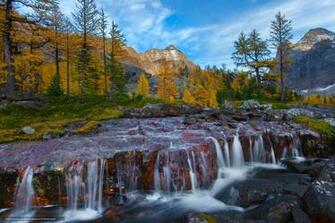 Wallpaper Lake O Hara Yoho National Park British Columbia