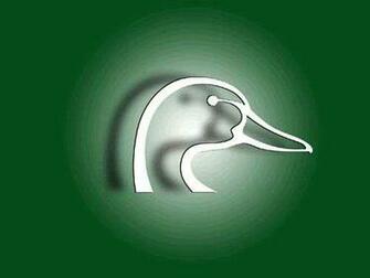 Ducks Unlimited Background Myspace