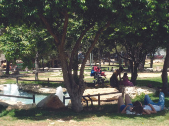 Relaxing Dayat Independence Park Wallpaper