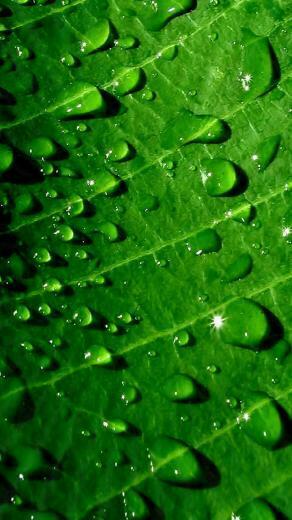 Galaxy S3 Wallpaper HD Beautiful Stunning