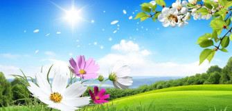 Beautiful Scenery Desktop Wallpaper