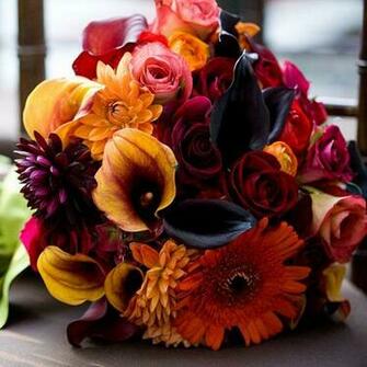 Rich Fall Wedding Bouquet Flowers Photos Brides HD