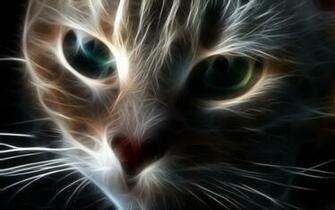 Abstract Cat Wallpaper HD HDwallsize