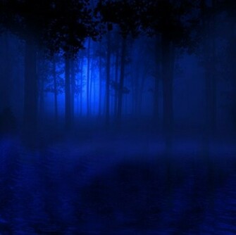 Misty Blue Forest Wallpaper