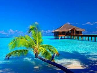 High Resolution Tropical Paradise Desktop Laptop Ed In