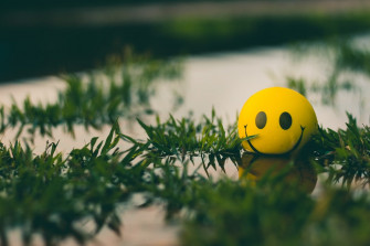 Smiley Face Pictures Image