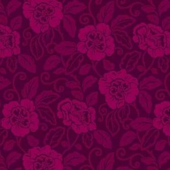 Fuschia Wallpaper