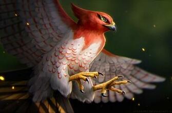 Talonflame Pokemon Chromebook Pixel HD 4k Wallpaper