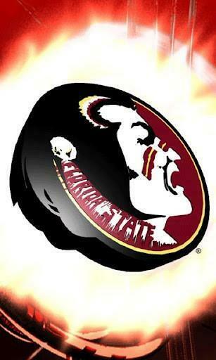 Florida State Seminoles Cake Ideas And Designs
