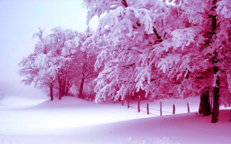Snow Aesthetic Wallpaper
