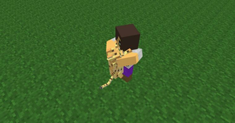 Minecraft Ocelot Kcrilly Hugging A