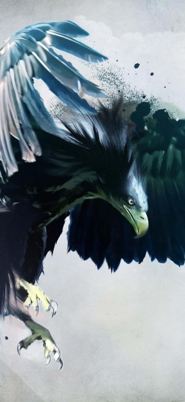 Eagle iPhone Wallpaper