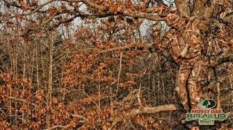 Mossy Oak Camo Wallpaper For iPhone S