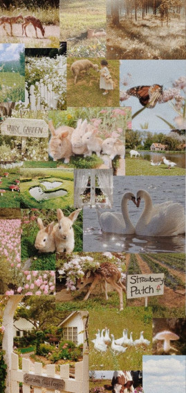 Cottagecore Ideas Wall Collage Cottage Core Wallpaper