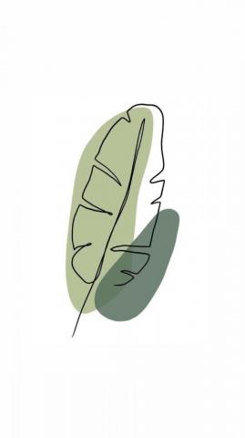 Minimalist Palm Leaf Illustration Fondos De Colores Dibujos