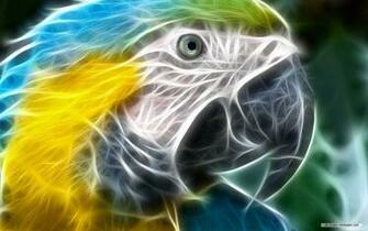 3d Animal Wallpaper HD