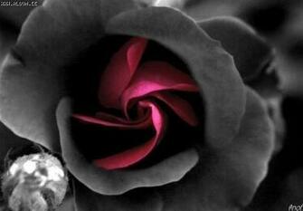 Wiccan Jpg Phone Wallpaper By Diamondrose
