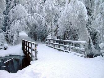 Snow Scenes Wets