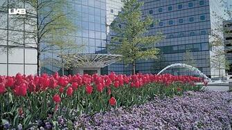 Virtual Background Uab Medicine