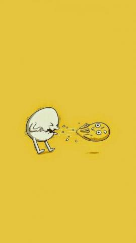Funny iPhone Wallpaper Image Amazing For