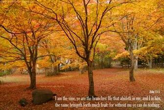 Autumn09