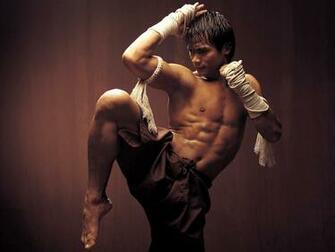 Martial Arts Computer Wallpaper Desktop Background Id