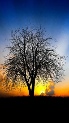 iPhone Wallpaper Sunset On Country My HD