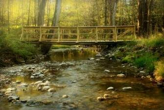 Wallpaper Forest River Creek Bridge Nature