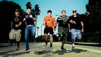 Zebrahead Road Street 1440p Resolution Wallpaper HD