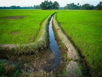 Irrigation Stock Photos Image Pictures Gallery HD Wallpaper