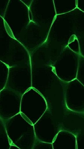 Green Fluid Wallpaper Screensaver Pre Id