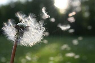 Smart Strategies For Having An Allergy Season