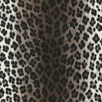 Black And Grey Cheetah Print Wallpaper Leopard White