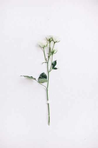White Aesthetic Wallpaper