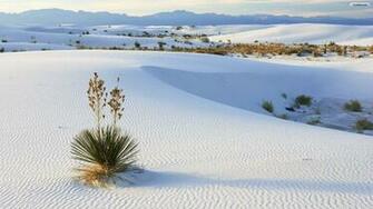 Desert Wallpaper Photo Desktop