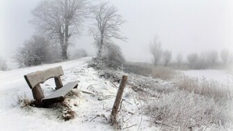 Winter Best Snow Nature HD Wallpaper Html