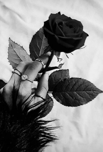 Image About Aesthetic In Accessories By Princess Rose Wallpaper