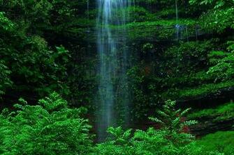 Wallpaper Pc Net